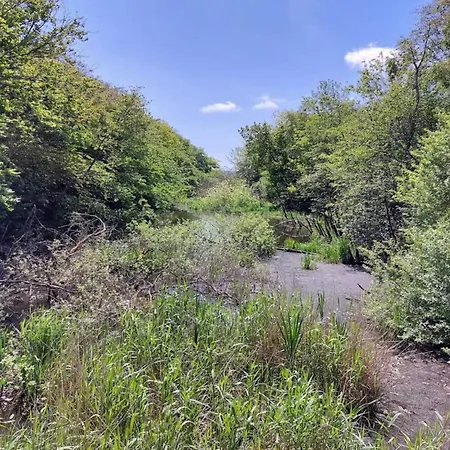 Ferienhaus Tranquil Oasis In Henne Strand-by Traum *