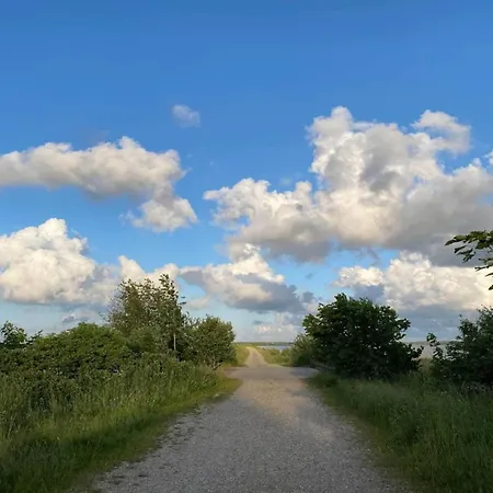 Tranquil Oasis In Henne Strand-by Traum بيت للعطل هين ستراند